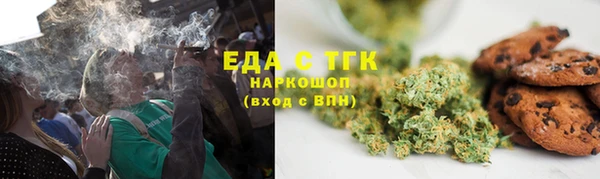 индика Алзамай