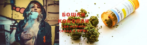 шишки Алексеевка