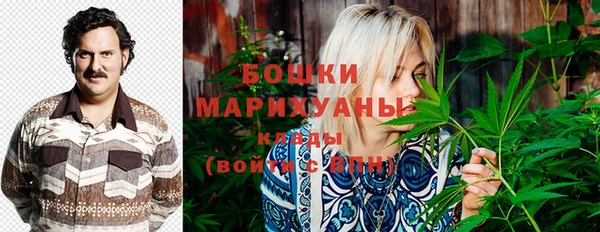 шишки Алексеевка