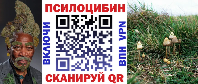 Галлюциногенные грибы мицелий  kraken ССЫЛКА  Гуково 