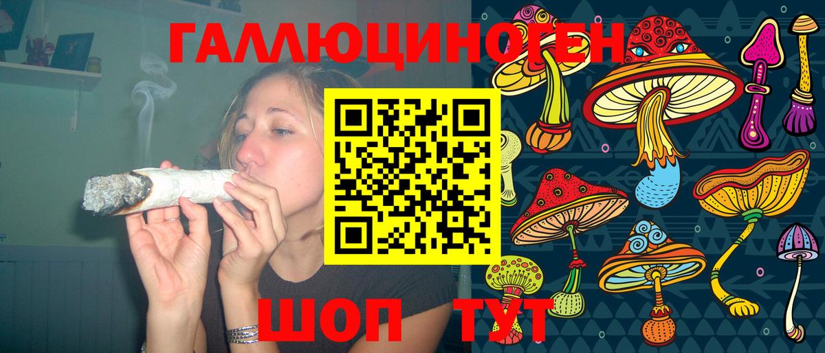 Гуково  Псилоцибиновые грибы Psilocybine cubensis  Вход с VPN 