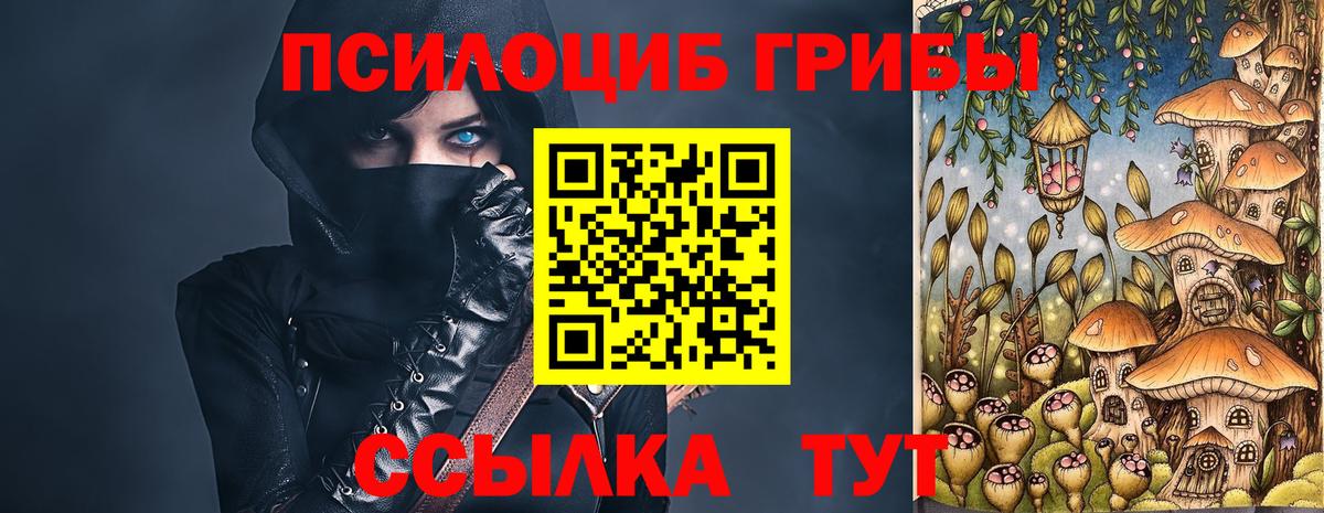 Псилоцибиновые грибы прущие грибы Гуково